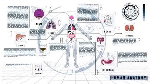 Human Anatomy HUD Pack 200+ - After Effects Template