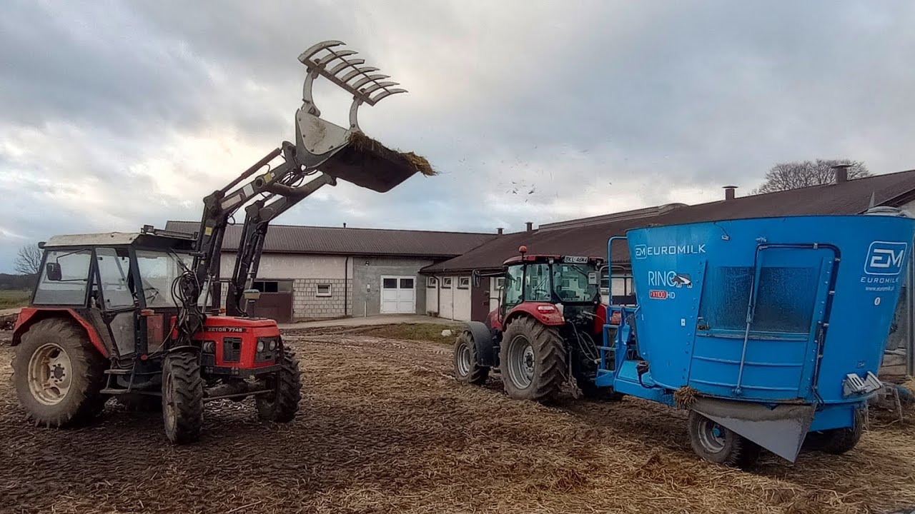 Codzienne obowiązki 2024 & mieszanie paszowozu dla krów & GoPro #16