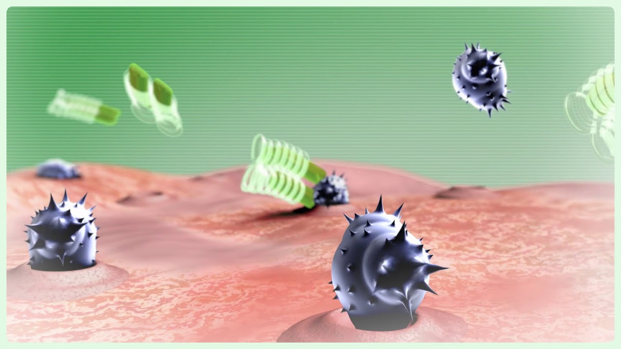 how cimzia certolizumab pegol works in crohns disease youtube how remicade works