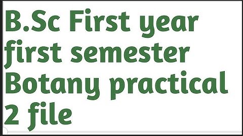 B.SC First year, first semester Botany practical file part 2