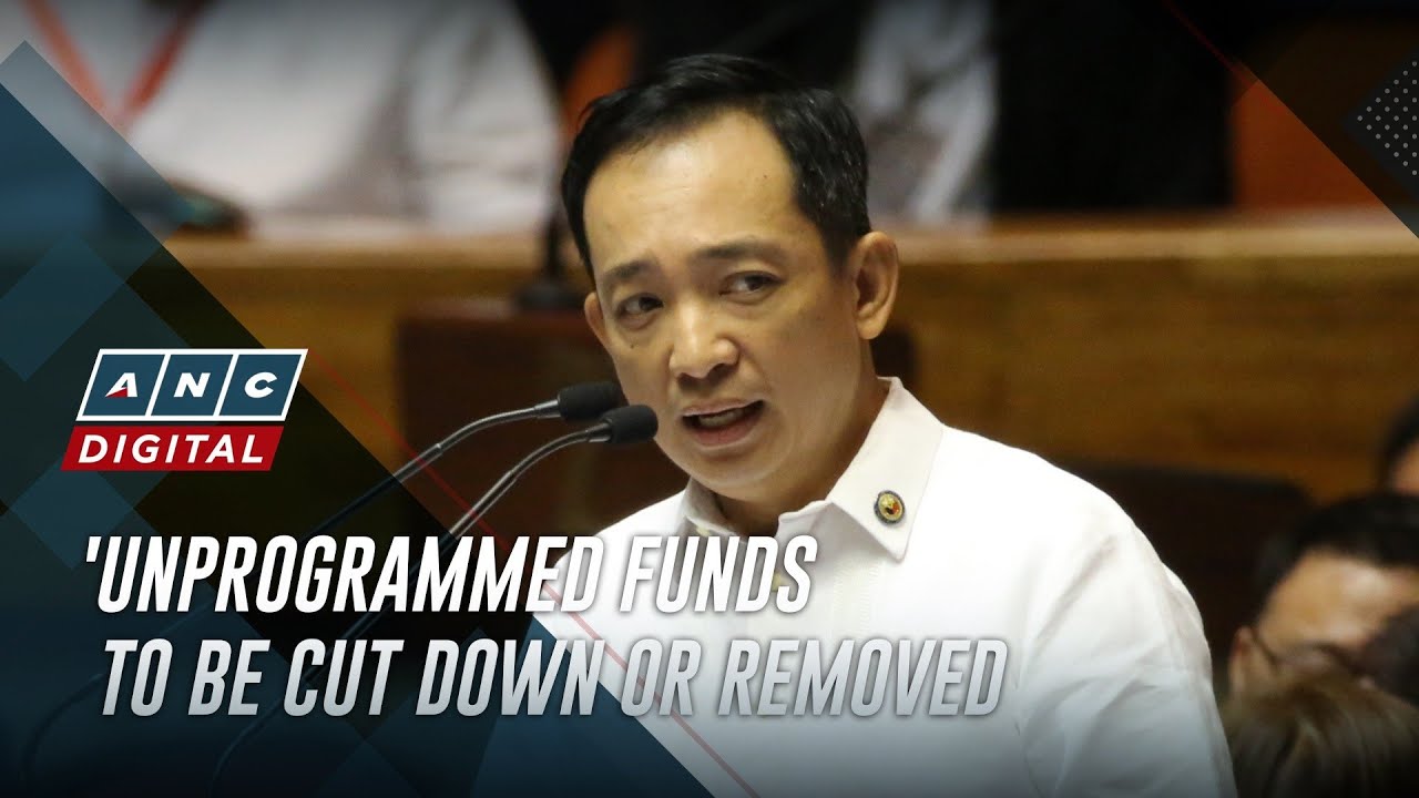 Rep. Tinio backs move to scrap unprogrammed appropriations | ANC