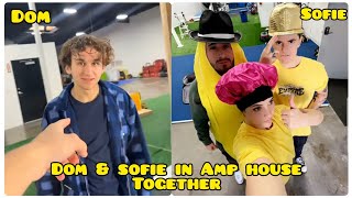 Dom and sofie recently did a video together with Amp