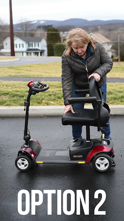Pride® Mobility | GoGo | Gives You Options