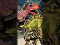 Trex primial carnage vs jurassic world rebirth all dinasore