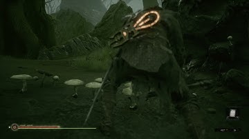 Etching 17 - Ätzung 17 - Mortal Shell & Enhanced Edition