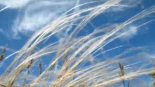 Kathleen Ferrier sings Silent Noon by Ralph-Vaugham Willams