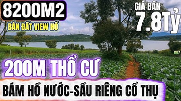 🔴Bán đất lâm đồng đẹp view hồ rộng lớn 8200m2 sầu riêng cổ thụ 200m thổ cư Lh : 0379.590.939