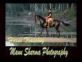 Horse Training by Indian horse trainer