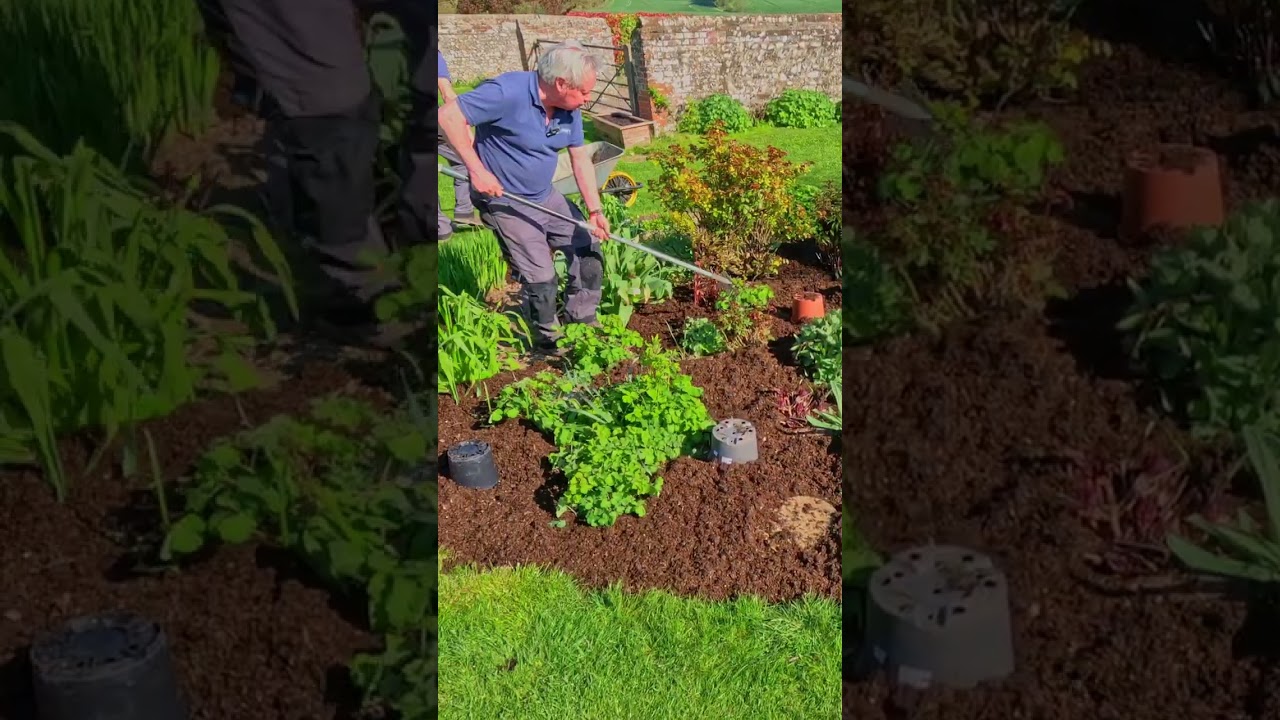 Do you know the plant pot technique?