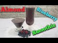 Nutty Blue Berry Smoothie