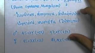 ormBio ver2 : พันธุศาสตร์ ตอน09