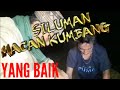 🔴 SILUMAN MACAN KUMBANG BERSAMA PUTRI YANG BAIK