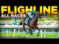 ALL 6 UNDEFEATED RACES OF FLIGHLINE | FROM DEBUT TO LEGEND