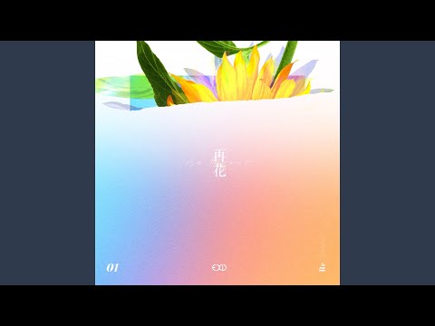 Dreamer (Solji Solo) [Remastered 2018]