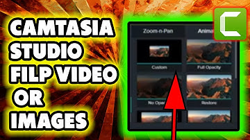 Camtasia 2022: Filp Video or Images
