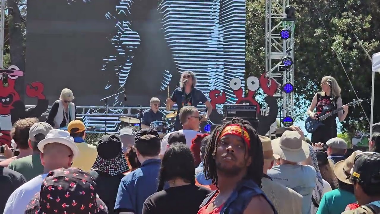 You Can't Be Funky - Bush Tetras @ Mosswood Meltdown, Oakland CA July 7, 2024