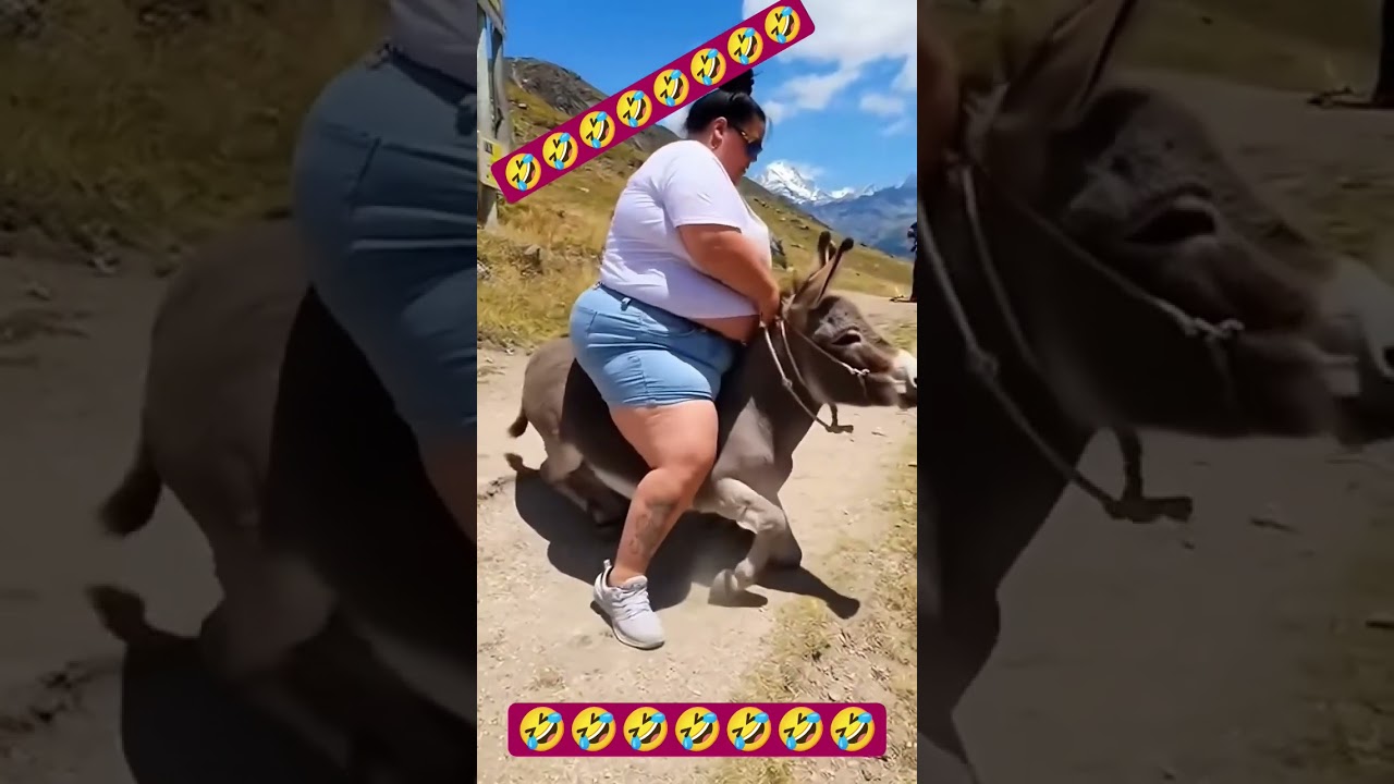 Fat Girl Sitting on Donkey 🤣🤣 