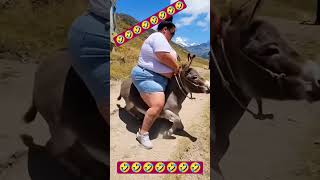 Fat Girl Sitting On Donkey