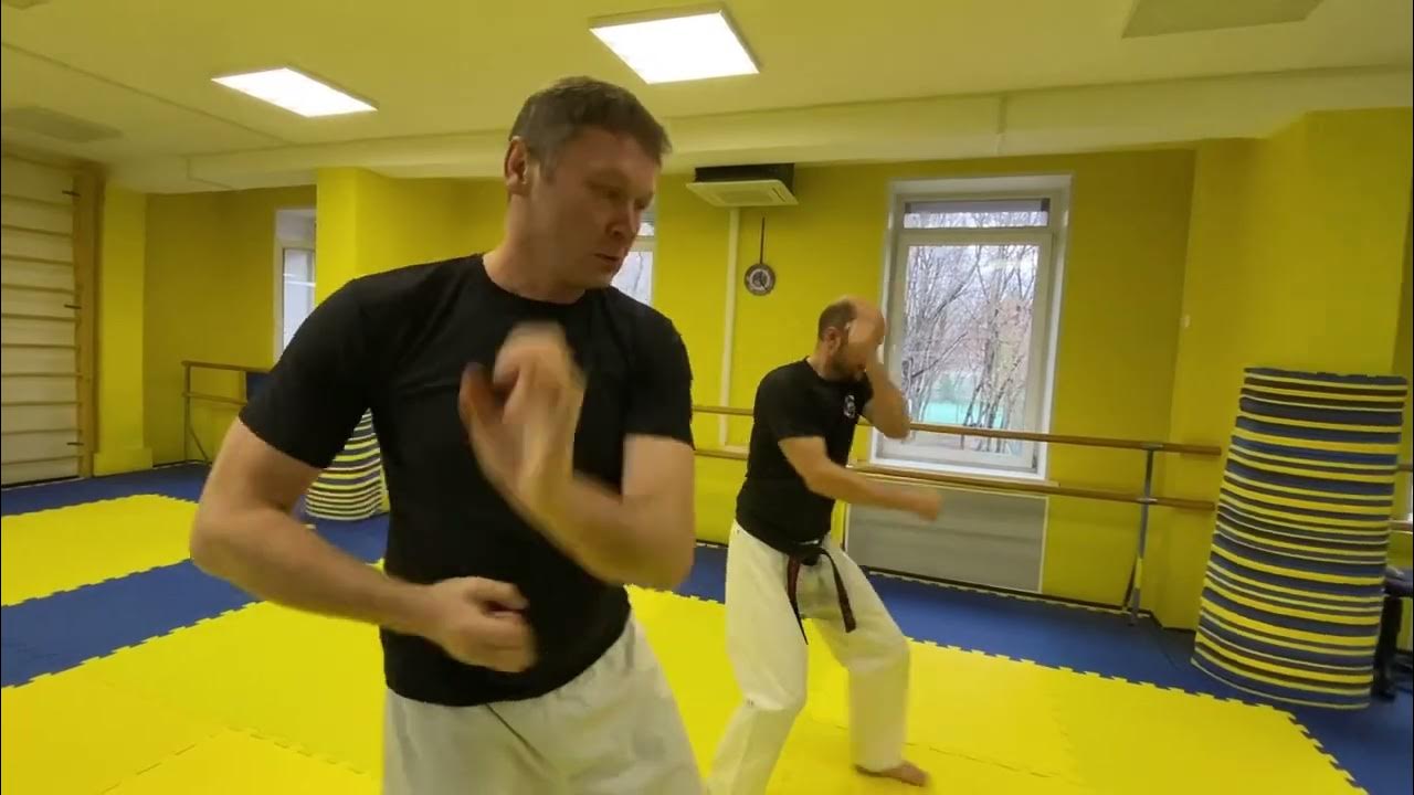 Гедан Барай в карате