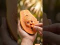 Ai papaya live with ai #artificialintelligence#shortai