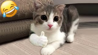 New Funny Animals 2024 😍 Funniest Cats and Dogs Videos 😹🐶Part 170