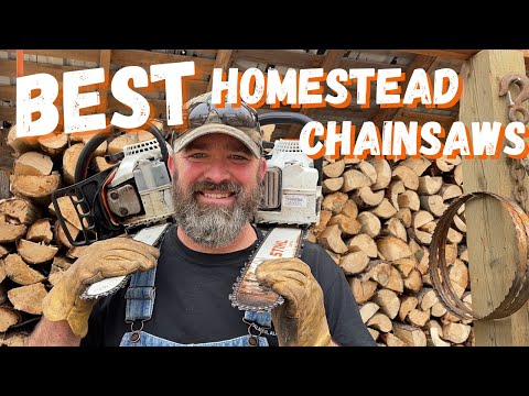 Best homestead chainsaws STIHL MS 251c vs STIHL MS 211c with a SAW-OFF!! – ALASKAN HOMESTEADING