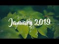 Indie/Pop/Folk Playlist - January 2019