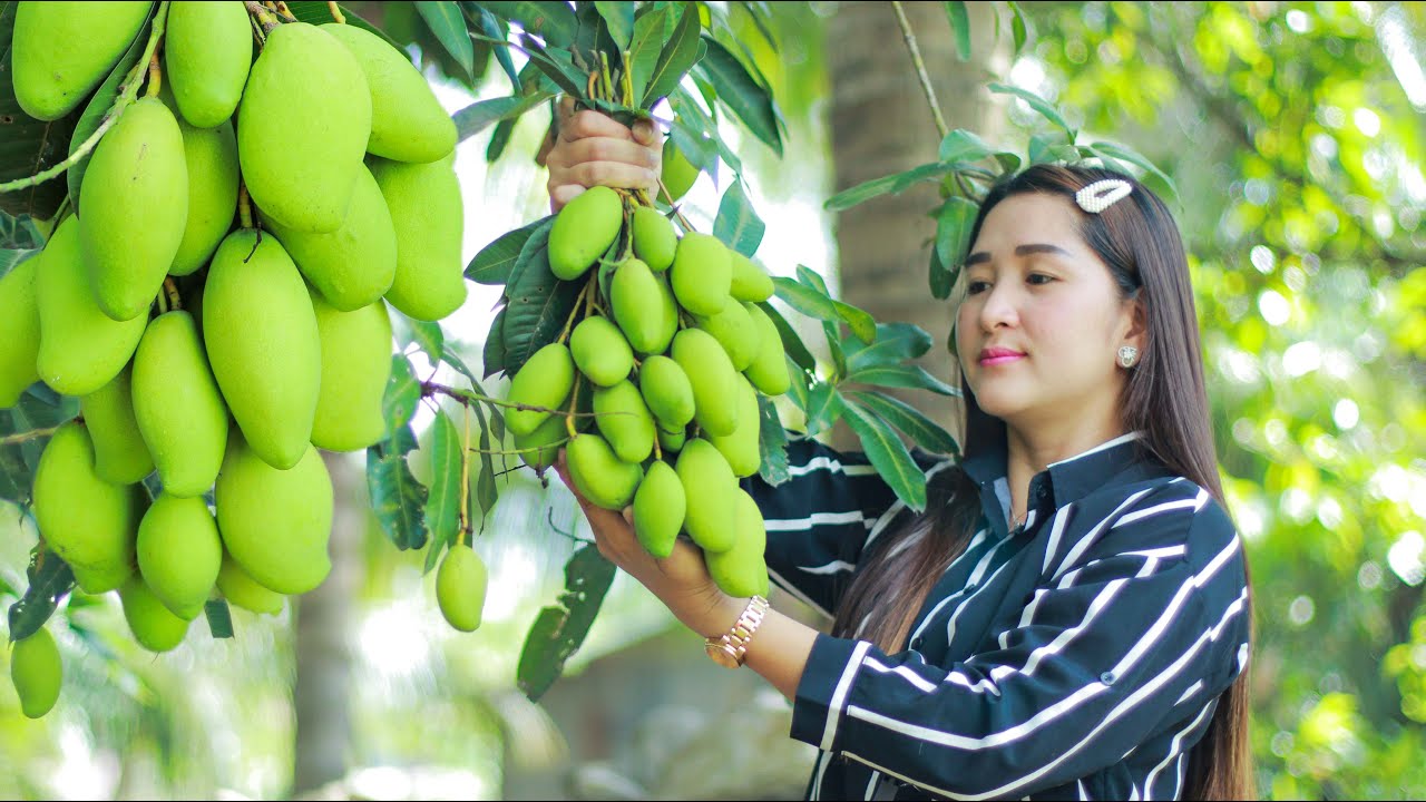 Mount watering with mango pickle | Mango pickle eating | Sour fruit eating