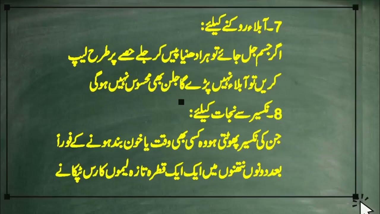 animal-welfare-in-islam-insights-from-hazrat-ali-s-ra-teachings