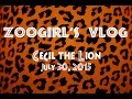 ZooGirl S Vlog Cecil The Lion