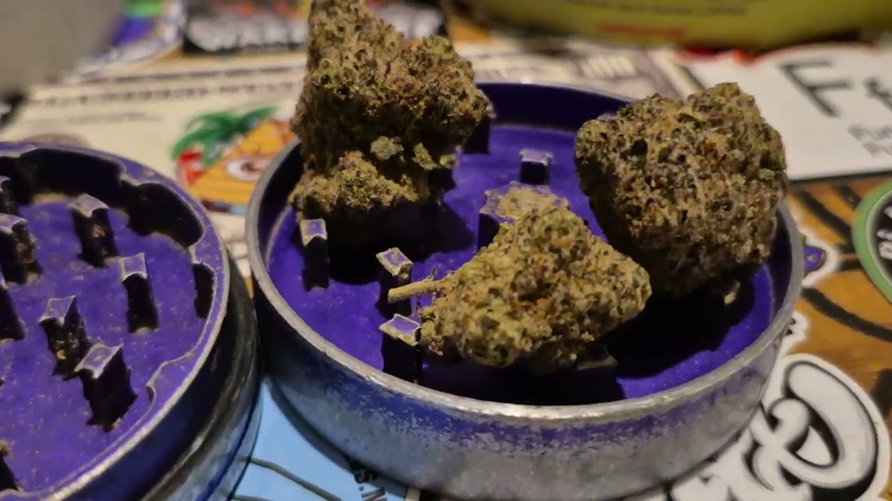 Next Friday BF T24 Blueberry Fuego Medical Cannabis Flower  (18+)