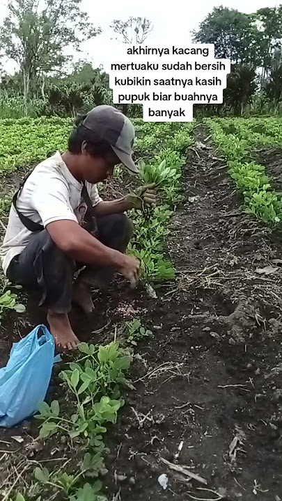 #videoshort #youtubeshorts #jangkauanluas