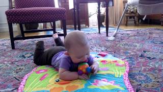 Phoebe crawls(16)