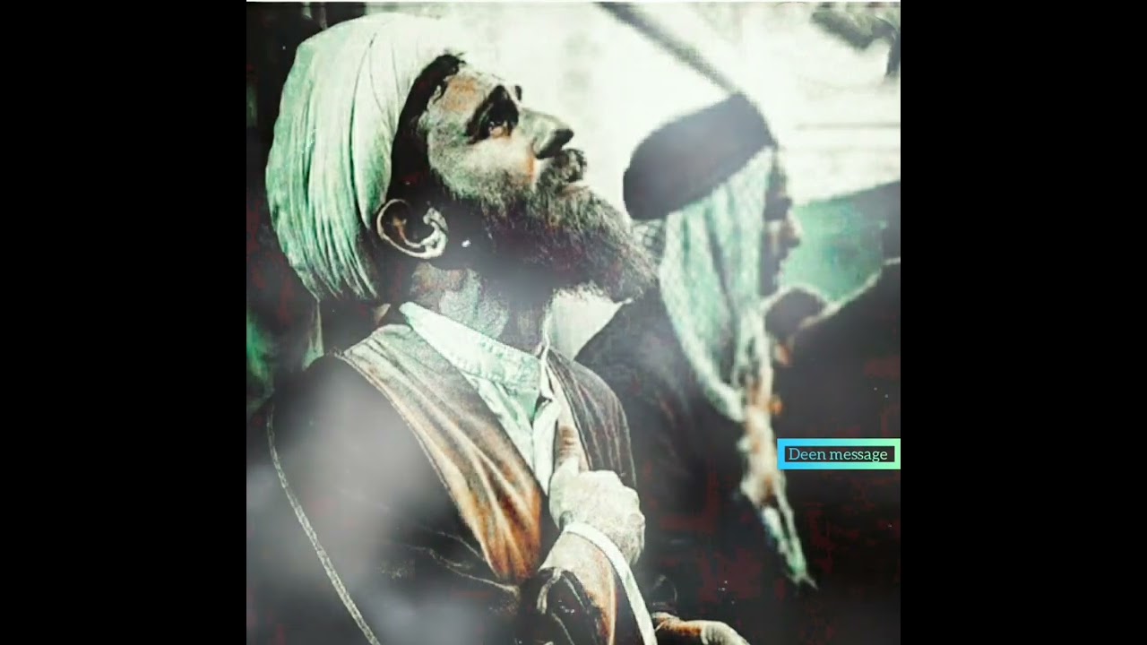 বাস্তবে রাসুল সাল্লাহু আলাইহি ওয়াসাল্লামকে কেউ অবমাননা করতে পারে না।🌸 