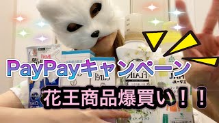 【爆買い】PayPayキャンペーンで花王商品買いまくった！