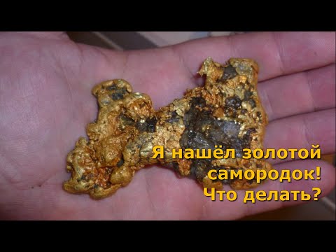 Я нашел золото, золотой самородок! Что делать?
