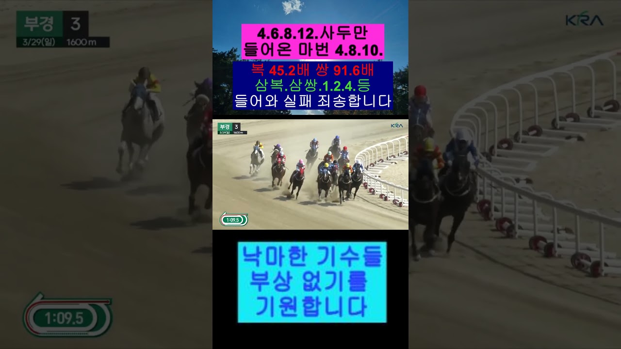 4번 기수 송경윤 기수 잘타네요 1등 축하 합니다