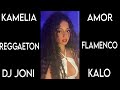 Kamelia amor amor reggaeton flamenco dj joni kalo