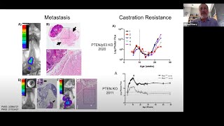 Webinar - The Roles of Preclinical Optical Imaging in Cancer Research with Dr. Michael Henry