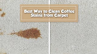 Best Way to Remove Coffee Stain from Carpet | STAIN FU