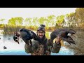 Duck Hunting a small Farm Pond for my first LIMIT!(Catch Clean Cook)