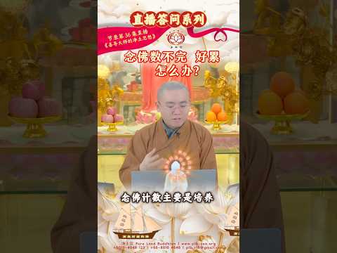 念佛数不完,好累,怎么办?| 净本法师开示 | 直播答问系列 | 净土宗 Pure Land Buddhism