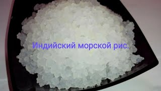 Индийский морской рис. Вопросы и ответы.