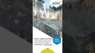 Terreno - Venda - Castelo Branco - Salgueiro do Campo - ADN Imobiliária