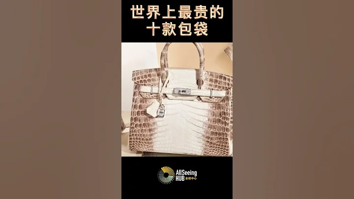 世界上最贵的十款包袋TOP10 爱马仕喜马拉雅铂金包 尼罗蒂克斯鳄鱼皮HIMALAYA $500,000 约人民币340万 Hermès Birkin - 天天要闻