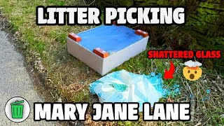 Cleaning a Quiet Lane Wrecked by Drive-By Littering
