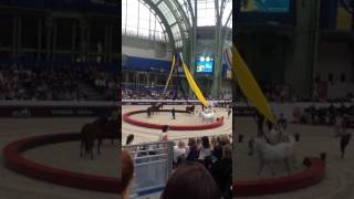 IMG 7975