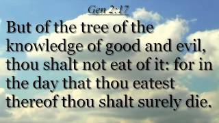 Genesis chapter 2-Verses 1-25