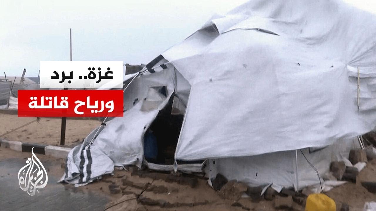 ����� ������� ���� ����� ���� �������� ��� ��� ������ �� ���
 - نشر قبل 10 دقيقة