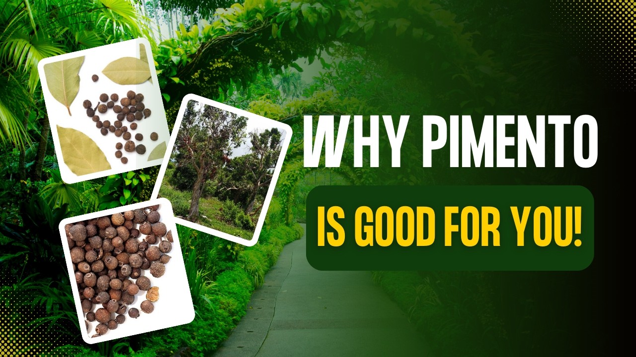 Why Pimento Is Good for You | World Wildlife Day 2026